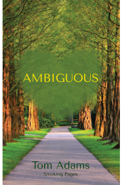 Ambiguous