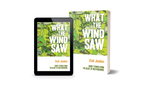 What the wind saw